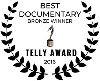 TELLY AWARD 2016 LOGO